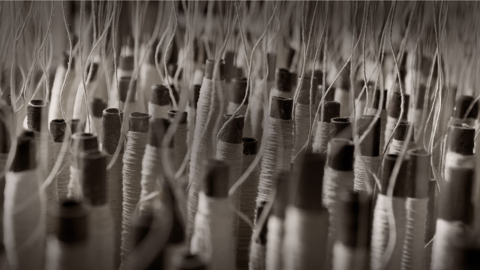 Evolving with Elegance - Nuhome